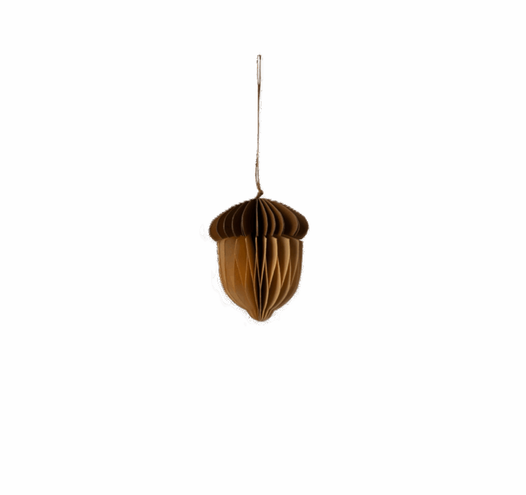 Hanger Eikeltje | Storefactory