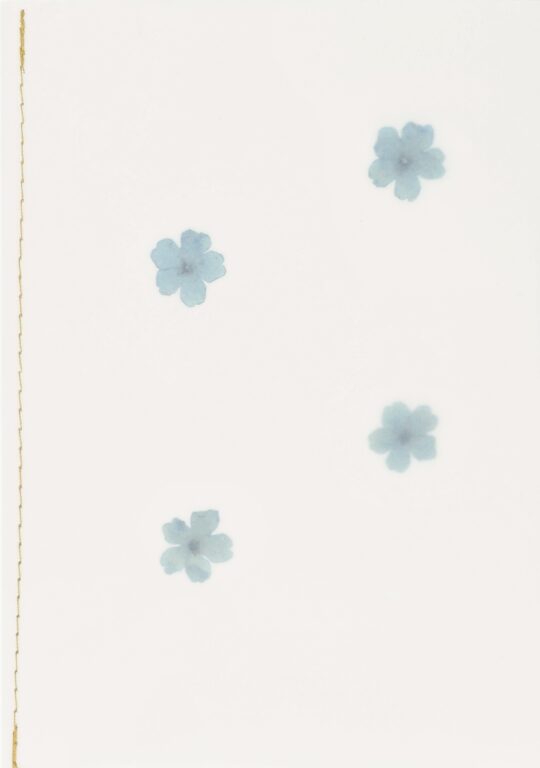 Kaart | Blauwe Bloemen | Räder