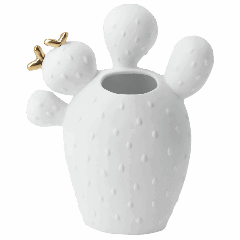 Cactus Vaas | Vijg | Räder