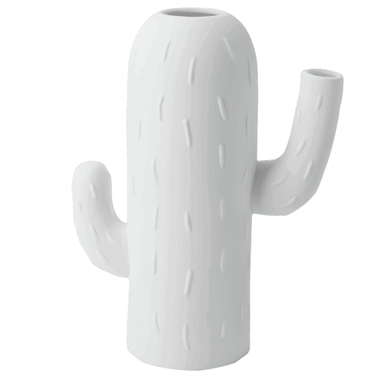 Cactus Vaas | Zuilvormig | Räder