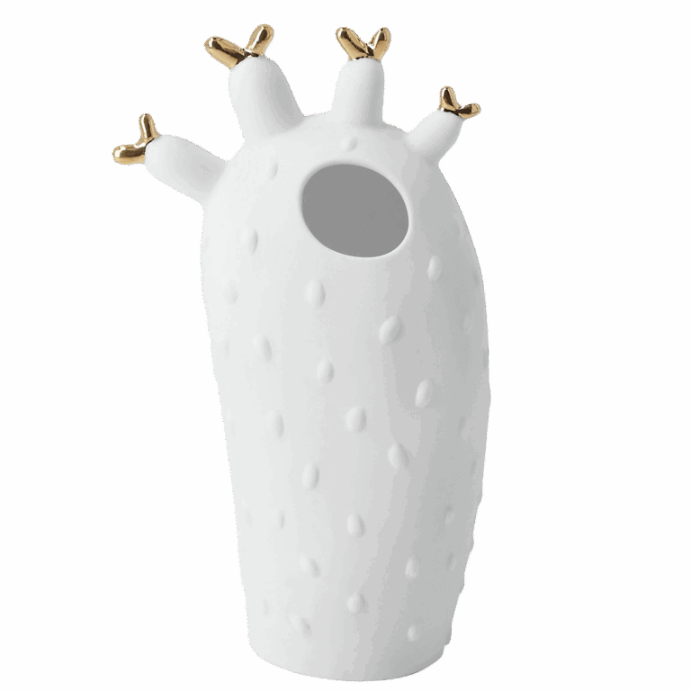 Cactus Vaas | Koraal | Räder