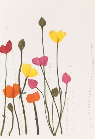 Kaart | Hartjes Bloemen | Räder